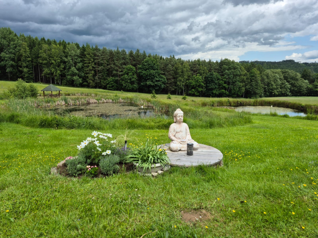 Louka, rybníčky a Buddha v Centru u Honesa